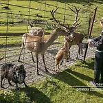 Powderia Family & Freelance In The Centre Of Amade *
