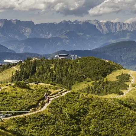 Powderia Family&freelance In The Centre Of Amadé