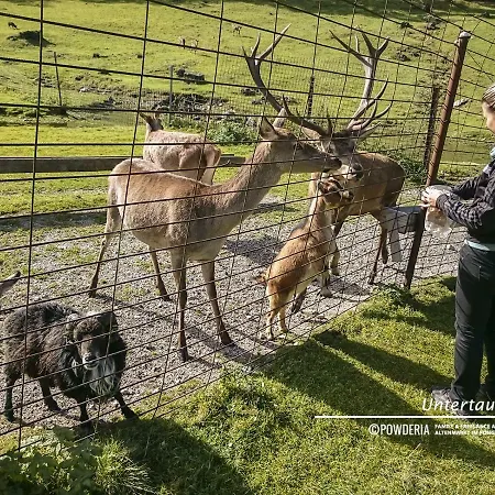 Powderia Family&freelance In The Centre Of Amadé *