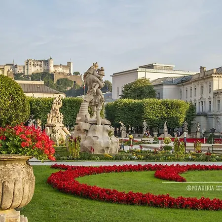 Powderia Family&freelance In The Centre Of Amadé