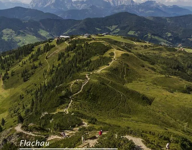 Apartment Powderia Family & Freelance In The Centre Of Amade *