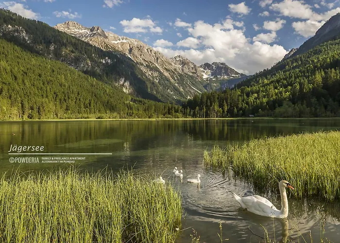 Powderia Family & Freelance In The Centre Of Amade